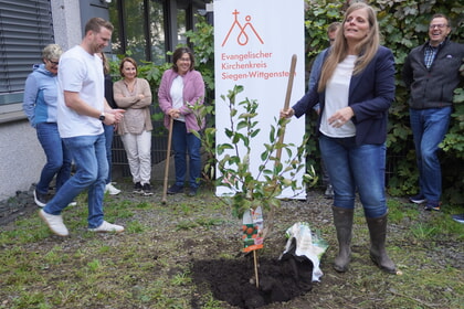 Baumpflanzchallenge - Hacke, Schaufel und ein Apfelbäumchen